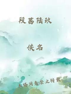 段茜陆玖