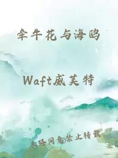 牵牛花与海鸥