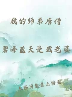 我的师弟唐僧