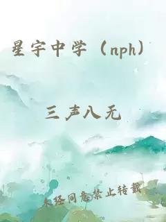 星宇中学（nph）