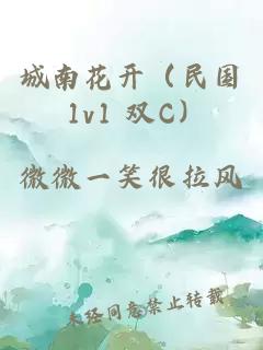 城南花开（民国 1v1 双C）