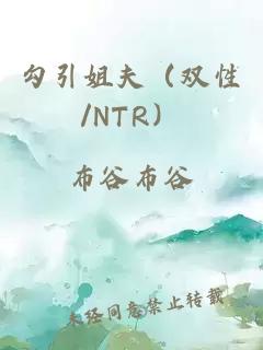 勾引姐夫（双性/NTR）