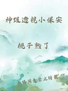 神级透视小保安