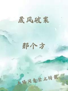 晟风破案