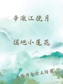 辛澈江挽月