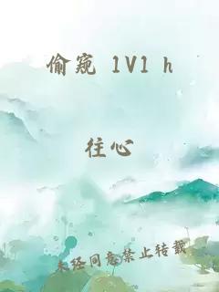 偷窥 1V1 h