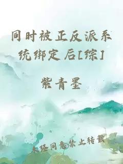 同时被正反派系统绑定后[综]