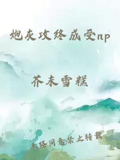 炮灰攻终成受np