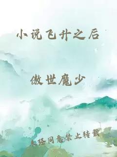 小说飞升之后