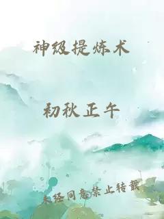 神级提炼术